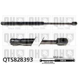 Cargo Area Gas Spring QUINTON HAZELL QTS828393 OE Ref 9686809480
