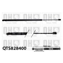 Cargo Area Gas Spring QUINTON HAZELL QTS828400 OE Ref 74820TLAA01