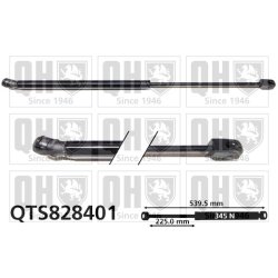 Cargo Area Gas Spring QUINTON HAZELL QTS828401 OE Ref 39021480