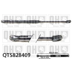 Cargo Area Gas Spring QUINTON HAZELL QTS828409 OE Ref 3AF827550B