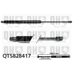 Cargo Area Gas Spring QUINTON HAZELL QTS828417 OE Ref BK21V406A10CA QUINTON HAZELL