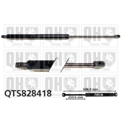 Cargo Area Gas Spring QUINTON HAZELL QTS828418 OE Ref BK21V406A10AB