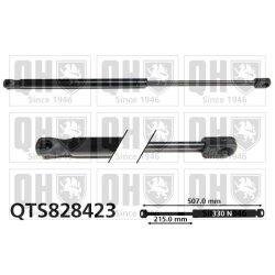 Cargo Area Gas Spring QUINTON HAZELL QTS828423 OE Ref 904511881R
