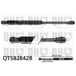Rear Window Gas Spring QUINTON HAZELL QTS828428