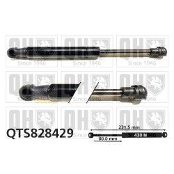 Cargo Area Gas Spring QUINTON HAZELL QTS828429