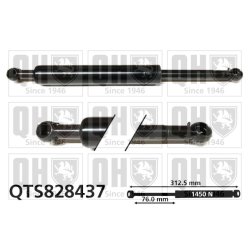 Cargo Area Gas Spring QUINTON HAZELL QTS828437 OE Ref 2517400045