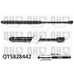Rear Window Gas Spring QUINTON HAZELL QTS828442 OE Ref 9388564A00