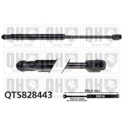 Bonnet Gas Spring QUINTON HAZELL QTS828443 OE Ref 4159800164
