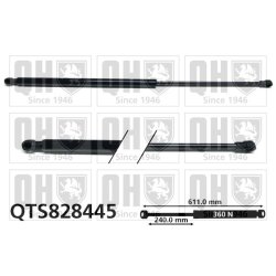 Cargo Area Gas Spring QUINTON HAZELL QTS828445 OE Ref 6896005020