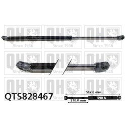Cargo Area Gas Spring QUINTON HAZELL QTS828467 OE Ref 81770D9000