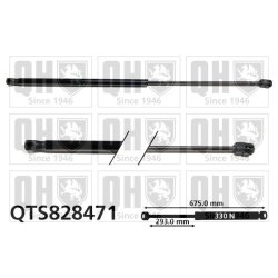 Bonnet Gas Spring QUINTON HAZELL QTS828471 OE Ref 1719800164