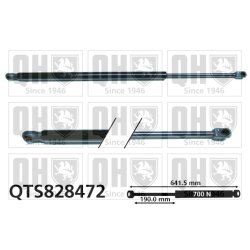 Cargo Area Gas Spring QUINTON HAZELL QTS828472 OE Ref 904520418R