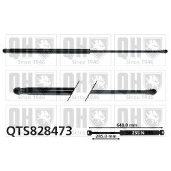 Cargo Area Gas Spring QUINTON HAZELL QTS828473 OE Ref 904503PU0A QUINTON HAZELL