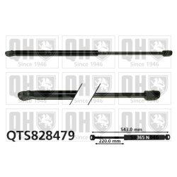 Cargo Area Gas Spring QUINTON HAZELL QTS828479 OE Ref 39077222