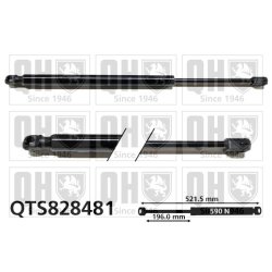 Cargo Area Gas Spring QUINTON HAZELL QTS828481 OE Ref 5JA827550B
