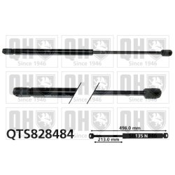 Rear Window Gas Spring QUINTON HAZELL QTS828484 OE Ref 0132673