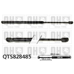 Cargo Area Gas Spring QUINTON HAZELL QTS828485 OE Ref 8185054P01