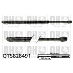 Cargo Area Gas Spring QUINTON HAZELL QTS828491 OE Ref 6006603