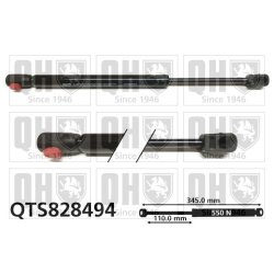 Bonnet Gas Spring QUINTON HAZELL QTS828494 OE Ref 2229800064
