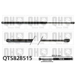 Cargo Area Gas Spring QUINTON HAZELL QTS828515 OE Ref 13247949