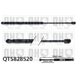 Cargo Area Gas Spring QUINTON HAZELL QTS828520 OE Ref 51895435