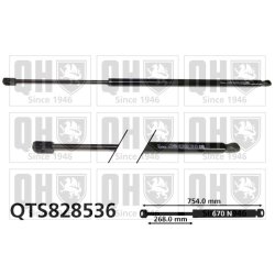 Cargo Area Gas Spring QUINTON HAZELL QTS828536 OE Ref 5188513