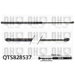 Cargo Area Gas Spring QUINTON HAZELL QTS828537 OE Ref AM51U406A10AB