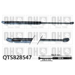 Cargo Area Gas Spring QUINTON HAZELL QTS828547 OE Ref 52063500