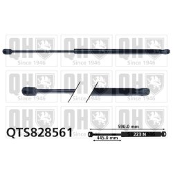Cargo Area Gas Spring QUINTON HAZELL QTS828561 OE Ref 13485194
