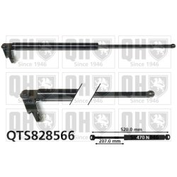 Cargo Area Gas Spring QUINTON HAZELL QTS828566 OE Ref 63269SC000
