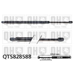 Cargo Area Gas Spring QUINTON HAZELL QTS828588