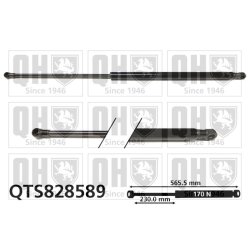 Cargo Area Gas Spring QUINTON HAZELL QTS828589