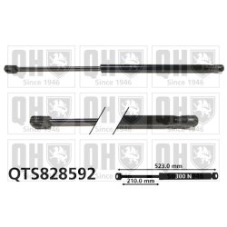 Cargo Area Gas Spring QUINTON HAZELL QTS828592