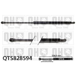 Cargo Area Gas Spring QUINTON HAZELL QTS828594