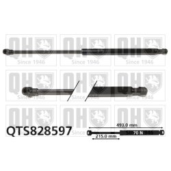 Cargo Area Gas Spring QUINTON HAZELL QTS828597