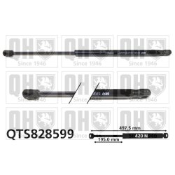 Cargo Area Gas Spring QUINTON HAZELL QTS828599