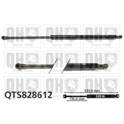 Cargo Area Gas Spring QUINTON HAZELL QTS828612