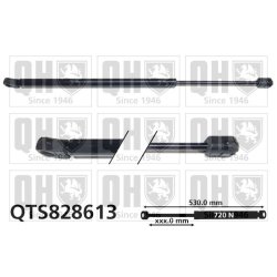 Cargo Area Gas Spring QUINTON HAZELL QTS828613 OE Ref 55360915AB