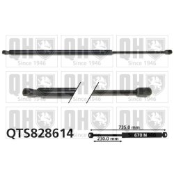 Cargo Area Gas Spring QUINTON HAZELL QTS828614