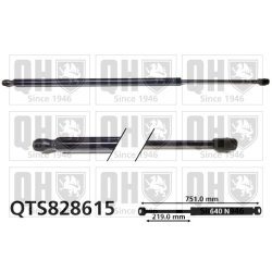 Cargo Area Gas Spring QUINTON HAZELL QTS828615