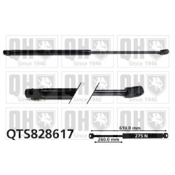 Cargo Area Gas Spring QUINTON HAZELL QTS828617
