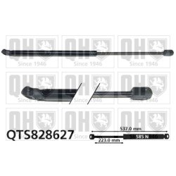Cargo Area Gas Spring QUINTON HAZELL QTS828627