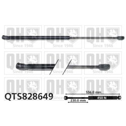 Cargo Area Gas Spring QUINTON HAZELL QTS828649