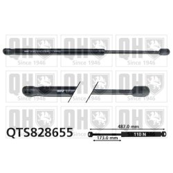 Cargo Area Gas Spring QUINTON HAZELL QTS828655