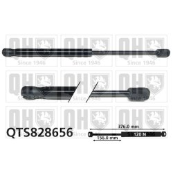 Cargo Area Gas Spring QUINTON HAZELL QTS828656