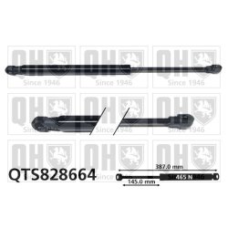 Cargo Area Gas Spring QUINTON HAZELL QTS828664