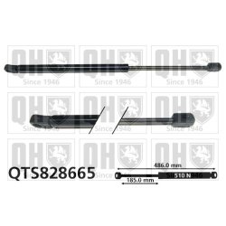 Cargo Area Gas Spring QUINTON HAZELL QTS828665