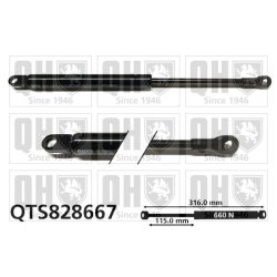 Convertible Top Gas Spring QUINTON HAZELL QTS828667