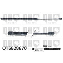 Cargo Area Gas Spring QUINTON HAZELL QTS828670