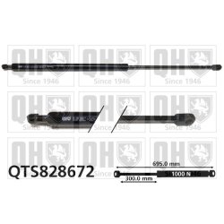 Cargo Area Gas Spring QUINTON HAZELL QTS828672 OE Ref 7700733654
